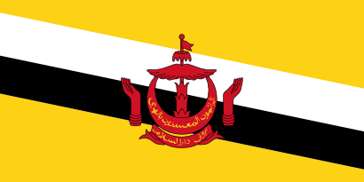 Download free flag brunei country icon